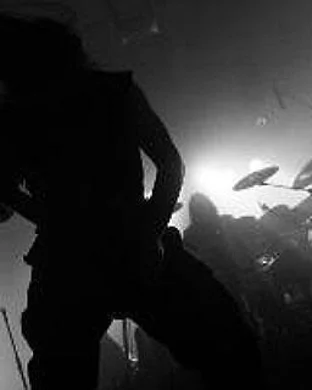PeelingFlesh Springfield
