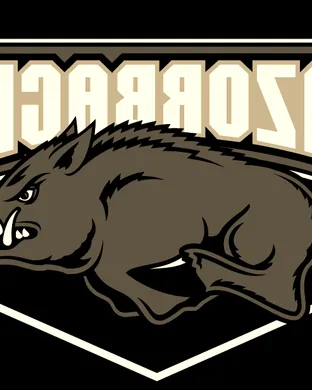 Arkansas Razorbacks Basketball Memphis
