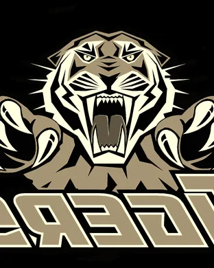 Auburn Tigers Fayetteville