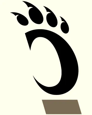 Cincinnati Bearcats Branson