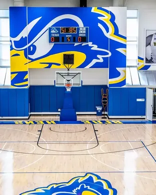 Delaware Blue Hens Basketball Newark