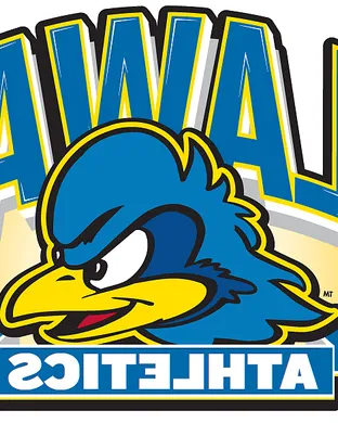 Delaware Blue Hens Springfield