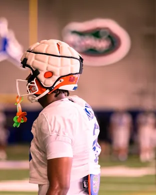 Florida Gators Gainesville