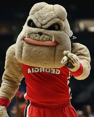 Georgia Bulldogs Basketball Athens