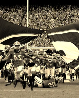 Georgia Bulldogs Fayetteville
