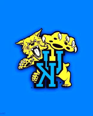 Kentucky Wildcats Baseball Lexington