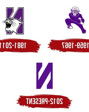 Northwestern Wildcats Chicago