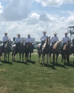 Rodeo Of The Ozarks Springdale