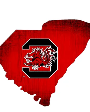 South Carolina Gamecocks Baseball Columbia