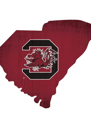 South Carolina Gamecocks Basketball Branson
