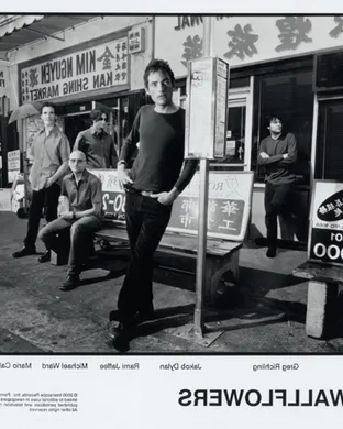 The Wallflowers Springfield