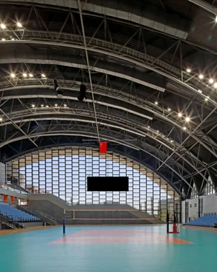 LSU Tigers Women's Volleyball Baton Rouge